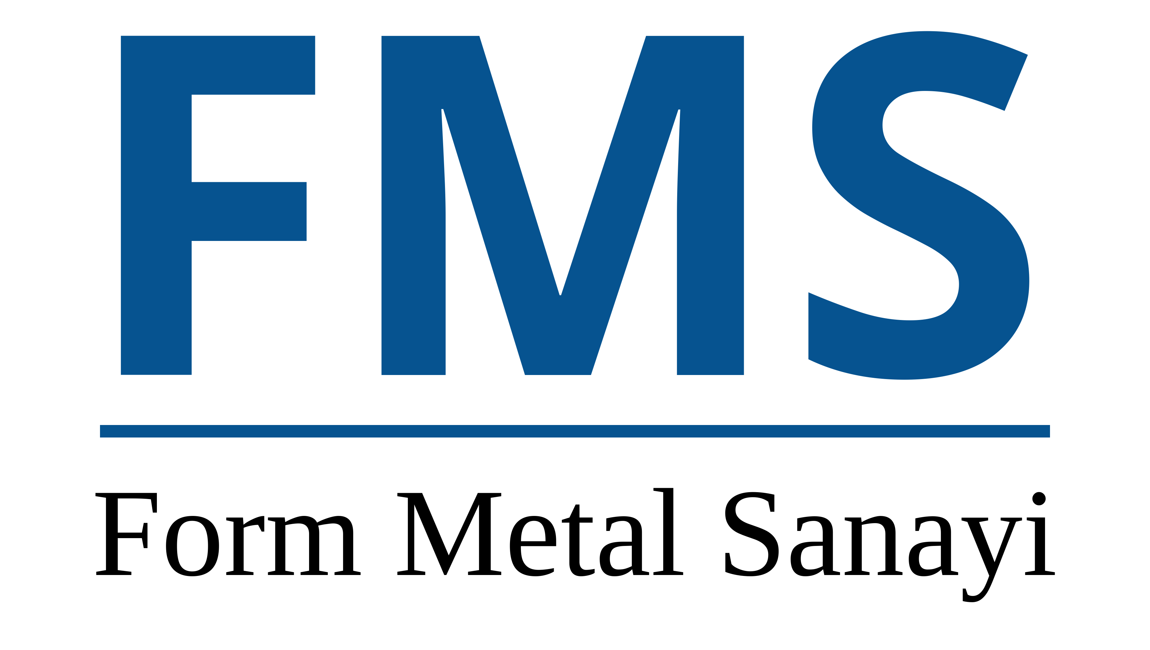 FMS Form Metal Sanayi logo